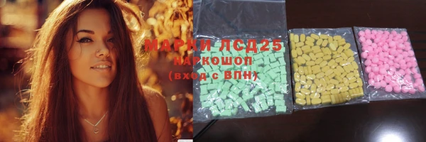 spice Аркадак