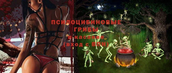 герыч Арсеньев