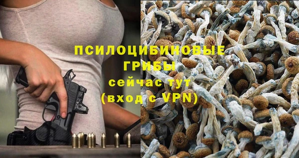 герыч Арсеньев