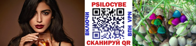 Галлюциногенные грибы MAGIC MUSHROOMS  Багратионовск 